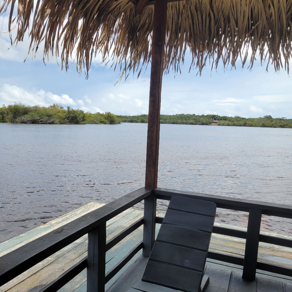 Vue sur le fleuve de la loge en Amazonie