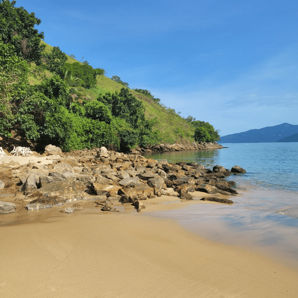 Plage de Sororoca