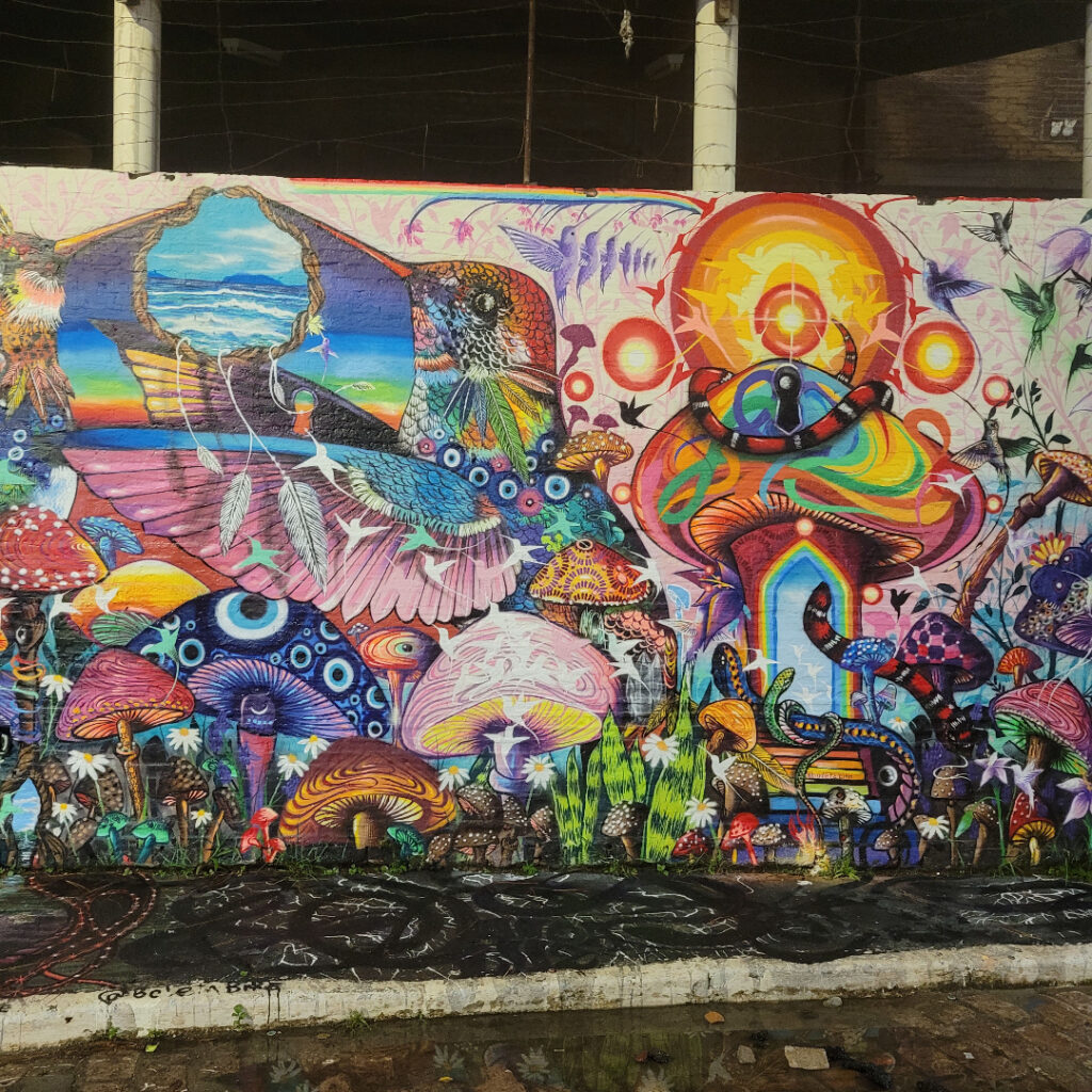 Street art Sao Paulo
