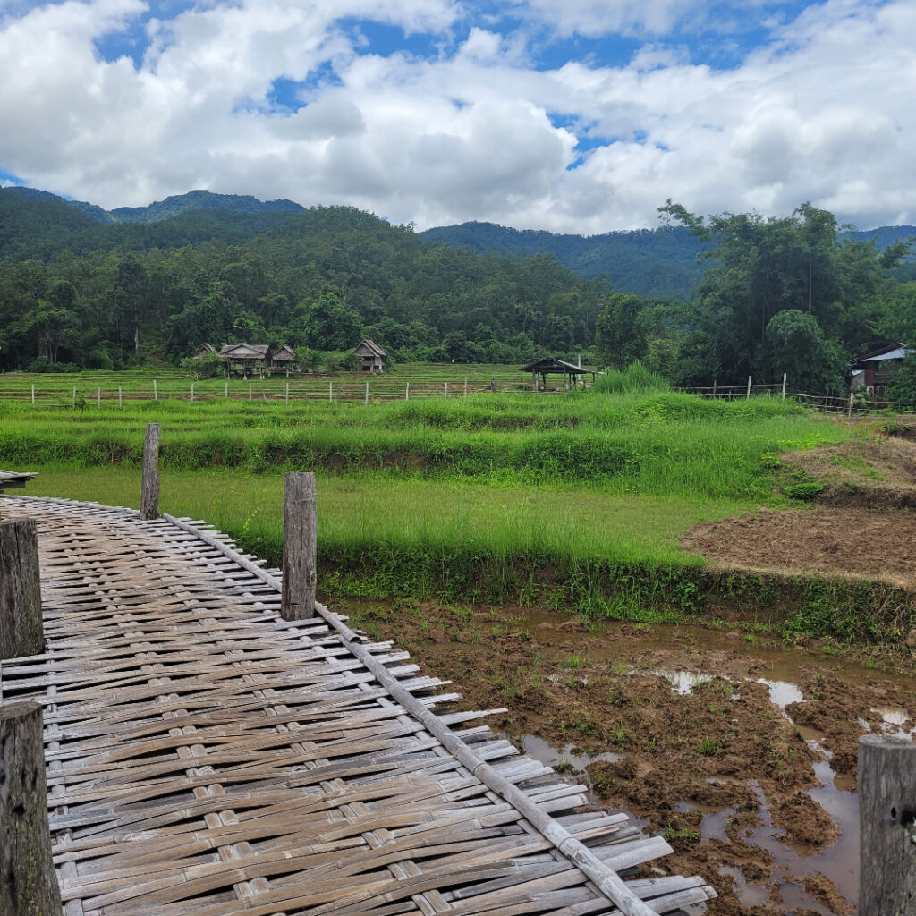 Bamboo bridge Paï