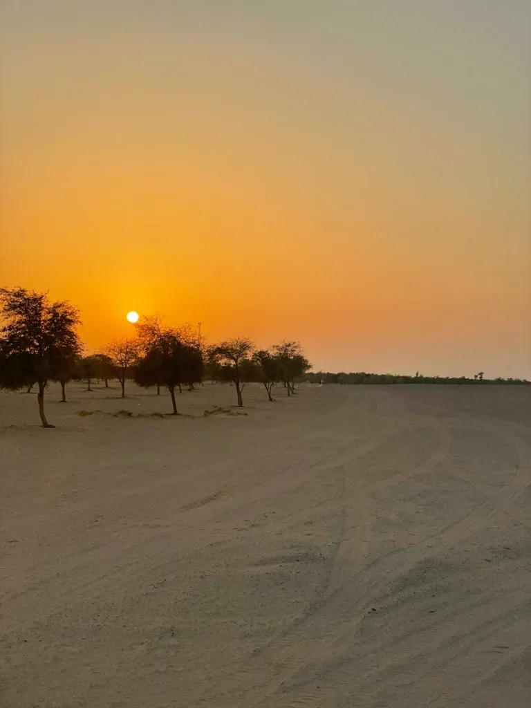 Coucher de soleil à Al Qudra
