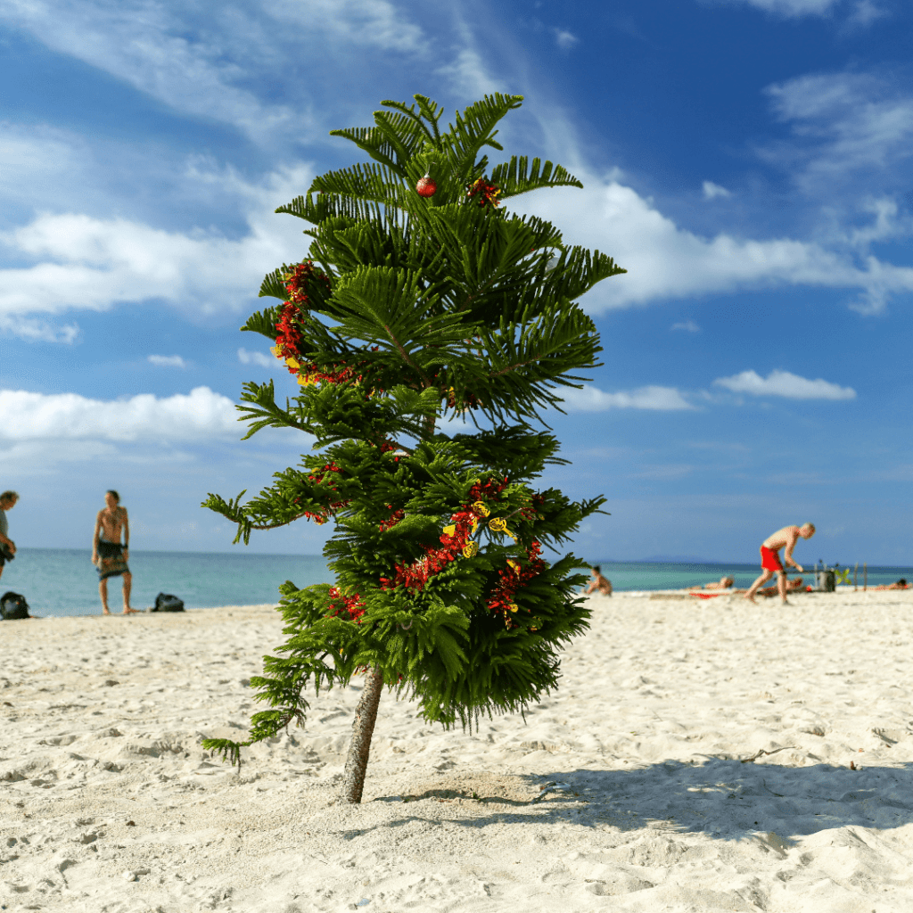 Koh Phangan à Noel
